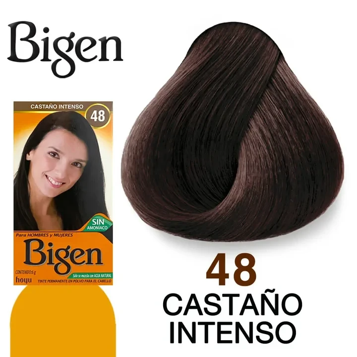 BIGEN TINTE EN POLVO 48 CASTANO INTENSO 6GR